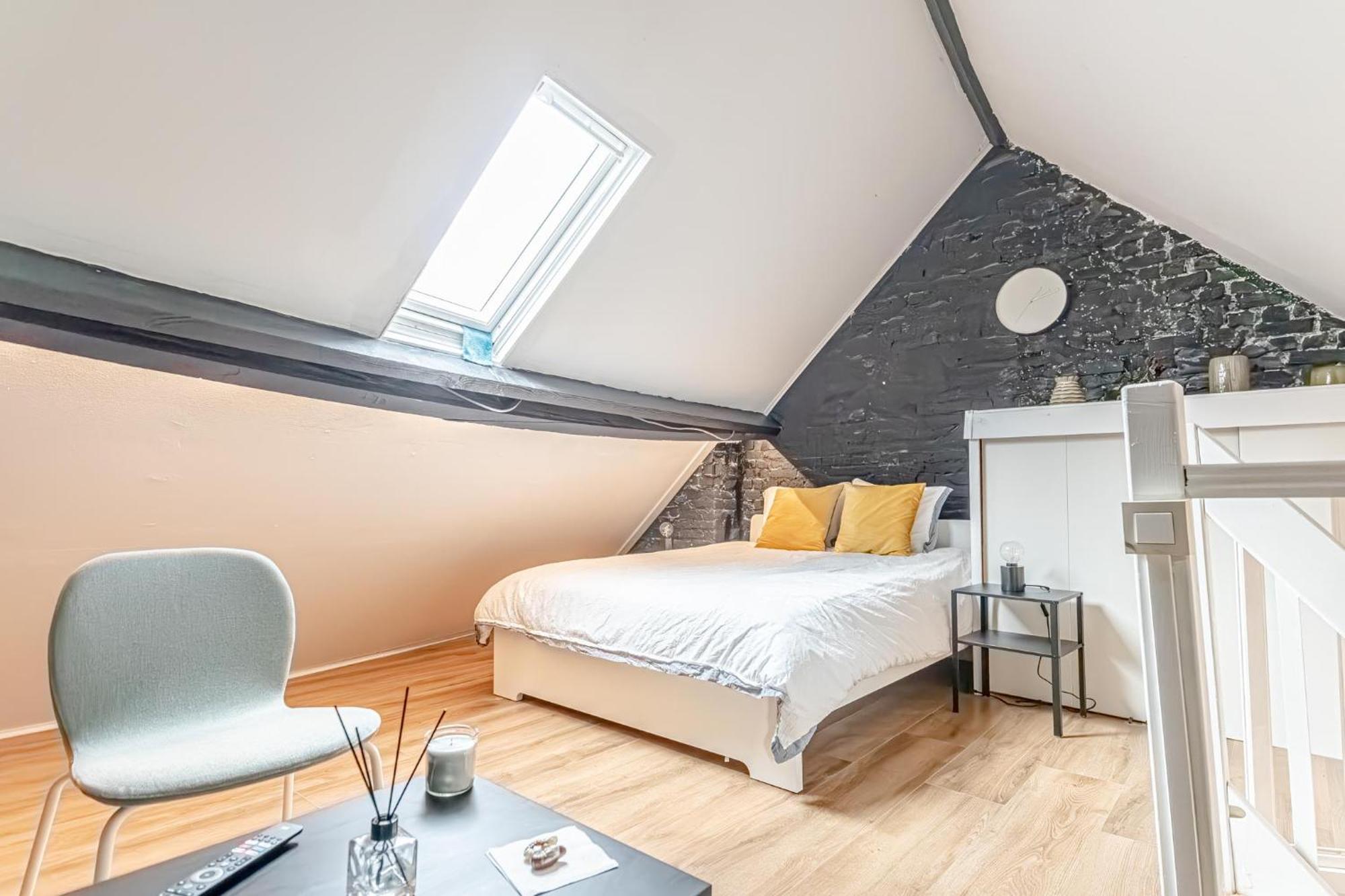 Spacious Shared 5Br Apt In The Heart Of Gent Exterior photo